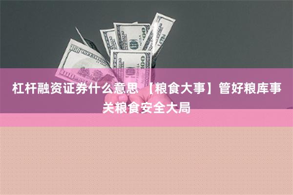 杠杆融资证券什么意思 【粮食大事】管好粮库事关粮食安全大局