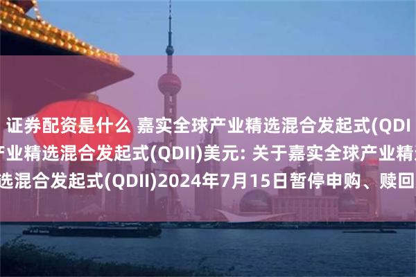 证券配资是什么 嘉实全球产业精选混合发起式(QDII)人民币,嘉实全球产业精选混合发起式(QDII)美元: 关于嘉实全球产业精选混合发起式(QDII)2024年7月15日暂停申购、赎回及定期定额投资业务的公告