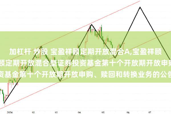 加杠杆 炒股 宝盈祥颐定期开放混合A,宝盈祥颐定期开放混合C: 宝盈祥颐定期开放混合型证券投资基金第十个开放期开放申购、赎回和转换业务的公告