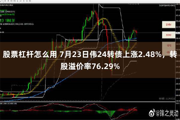 股票杠杆怎么用 7月23日伟24转债上涨2.48%，转股溢价率76.29%