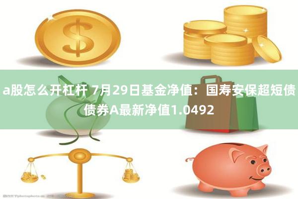 a股怎么开杠杆 7月29日基金净值：国寿安保超短债债券A最新净值1.0492