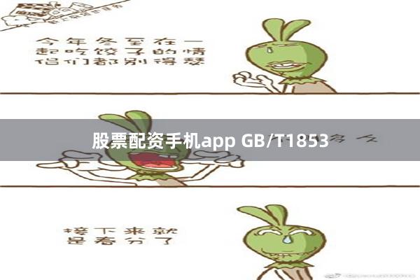 股票配资手机app GB/T1853