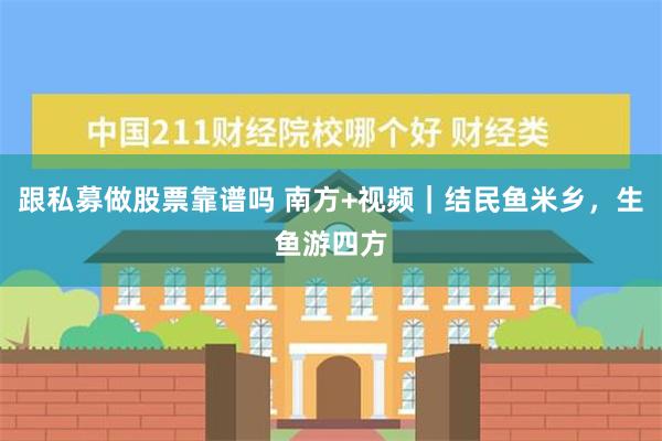 跟私募做股票靠谱吗 南方+视频｜结民鱼米乡，生鱼游四方