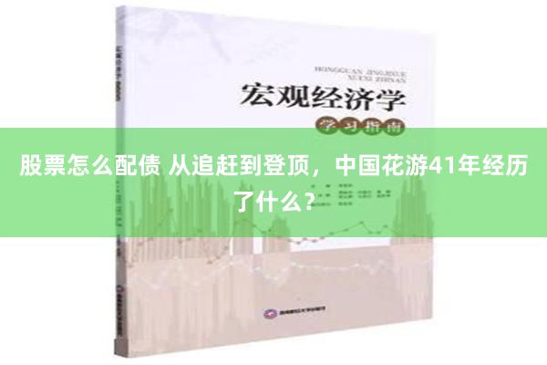 股票怎么配债 从追赶到登顶，中国花游41年经历了什么？