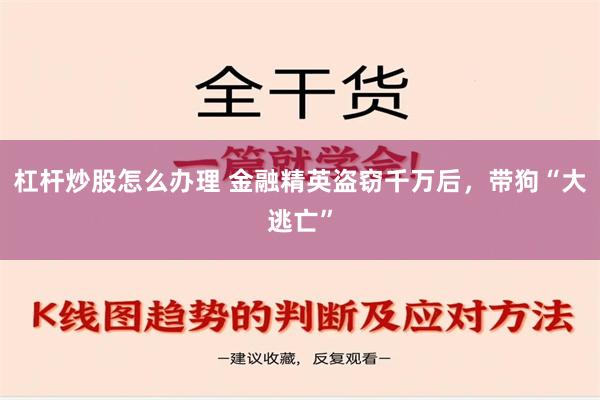 杠杆炒股怎么办理 金融精英盗窃千万后，带狗“大逃亡”