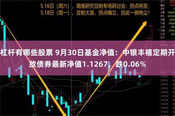 杠杆有哪些股票 9月30日基金净值：中银丰禧定期开放债券最新净值1.1267，跌0.06%