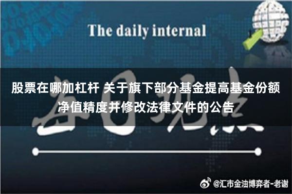 股票在哪加杠杆 关于旗下部分基金提高基金份额净值精度并修改法律文件的公告