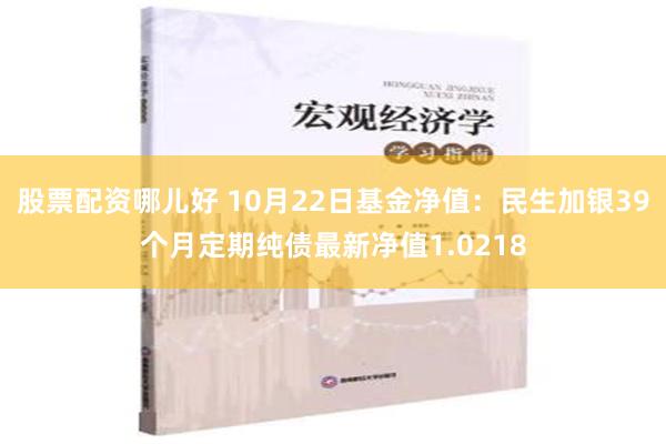 股票配资哪儿好 10月22日基金净值：民生加银39个月定期纯债最新净值1.0218