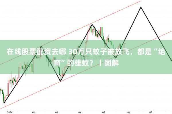 在线股票配资去哪 30万只蚊子被放飞，都是“绝育”的雄蚊？丨图解