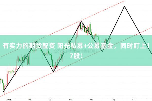 有实力的期货配资 阳光私募+公募基金，同时盯上17股！