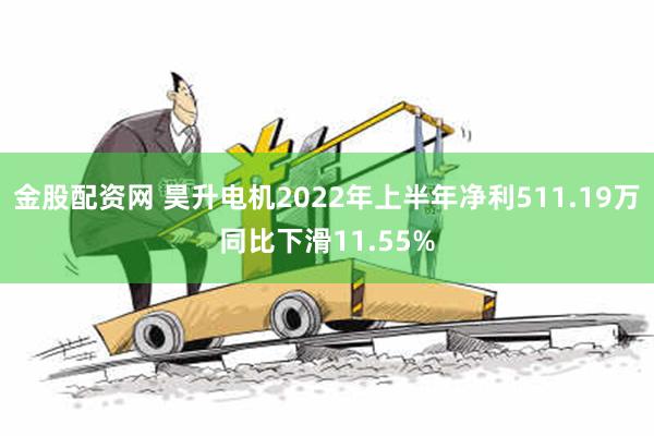 金股配资网 昊升电机2022年上半年净利511.19万同比下滑11.55%